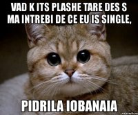 vad k its plashe tare des s ma intrebi de ce eu is single, pidrila iobanaia