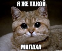 я же такой милаха