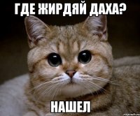 где жирдяй даха? нашел