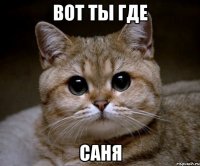 вот ты где саня