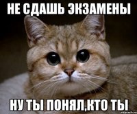 не сдашь экзамены ну ты понял,кто ты