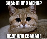 забыл про меня? педрила ебаная!