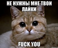 не нужны мне твои лайки fuck you