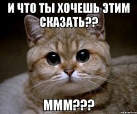 и что ты хочешь этим сказать?? ммм???