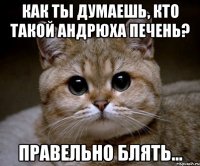 как ты думаешь, кто такой андрюха печень? правельно блять...