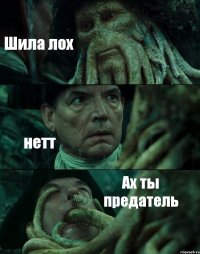 Шила лох нетт Ах ты предатель