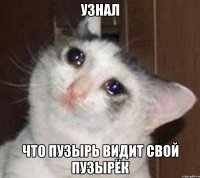 узнал что пузырь видит свой пузырёк
