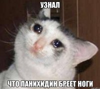 узнал что панихидин бреет ноги