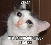 узнал что ванильное небо - ремейк