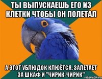 ты выпускаешь его из клетки чтобы он полетал а этот ублюдок клюётся, залетает за шкаф и "чирик-чирик"