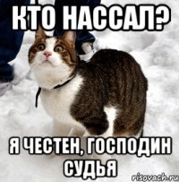 кто нассал? я честен, господин судья