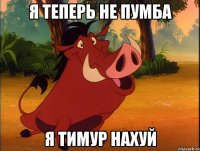 я теперь не пумба я тимур нахуй