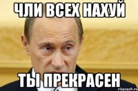 чли всех нахуй ты прекрасен