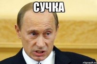 сучка 