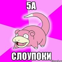 5а слоупоки