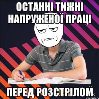 останні тижні напруженої праці перед розстрілом