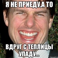 я не приеду,а то вдруг с теплицы упаду...