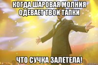когда шаровая молния одевает твои тапки что сучка залетела!