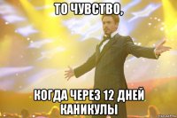 то чувство, когда через 12 дней каникулы