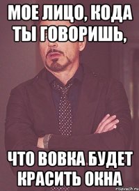 мое лицо, кода ты говоришь, что вовка будет красить окна