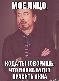 мое лицо, кода ты говоришь, что вовка будет красить окна