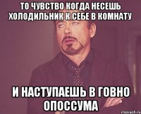 то чувство когда несешь холодильник к себе в комнату и наступаешь в говно опоссума