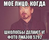 моё лицо, когда школоёбы делают уг фото лиазов 5292