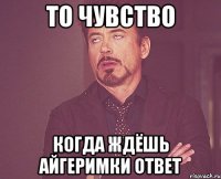 то чувство когда ждёшь айгеримки ответ