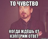 то чувство когда ждёшь от кэпгерим ответ