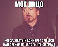 моё лицо когда, жёлтый единорог смеётся над орехом из за того что он арбуз