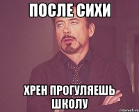 после сихи хрен прогуляешь школу