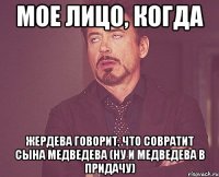 мое лицо, когда жердева говорит, что совратит сына медведева (ну и медведева в придачу)