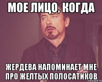 мое лицо, когда жердева напоминает мне про желтых полосатиков