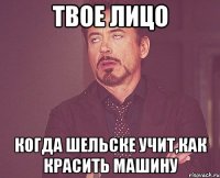 твое лицо когда шельске учит,как красить машину
