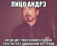 лицо андрэ когда цвет твоего нового поло не сочетается с шашлыком за столом