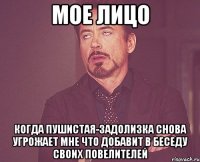 мое лицо когда пушистая-задолизка снова угрожает мне что добавит в беседу своих повелителей