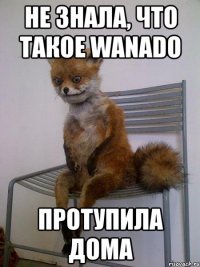 не знала, что такое wanado протупила дома