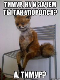 тимур, ну и зачем ты так упоролся? а, тимур?