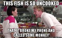 this fish is so uncooked that it broke my phone and called some monkey