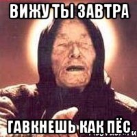 вижу ты завтра гавкнешь как пёс
