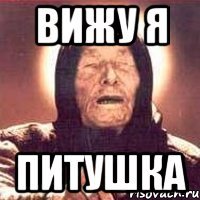 вижу я питушка
