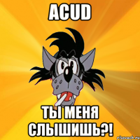 acud ты меня слышишь?!