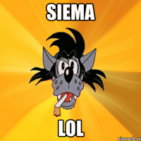 siema lol