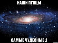 наши птицы самые чудесные :)