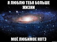 я люблю тебя больше жизни моё любимое котэ