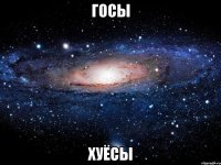 госы хуёсы