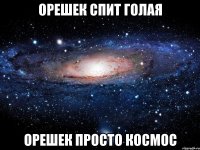 орешек спит голая орешек просто космос