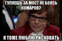 гуляешь за мост не боясь комаров? я тоже люблю рисковать