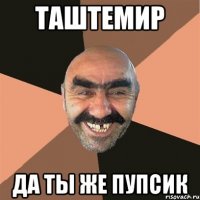 таштемир да ты же пупсик