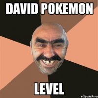 david pokemon level